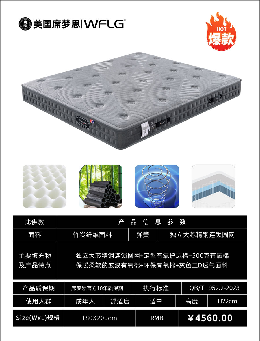 席夢思王府麗宮(1)_頁面_11.jpg
